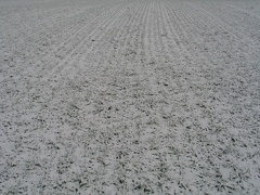 Ackerfeld unter Schnee; 9297
