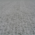Ackerfeld unter Schnee; 9297
