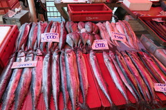 Valdivia Fischmarkt