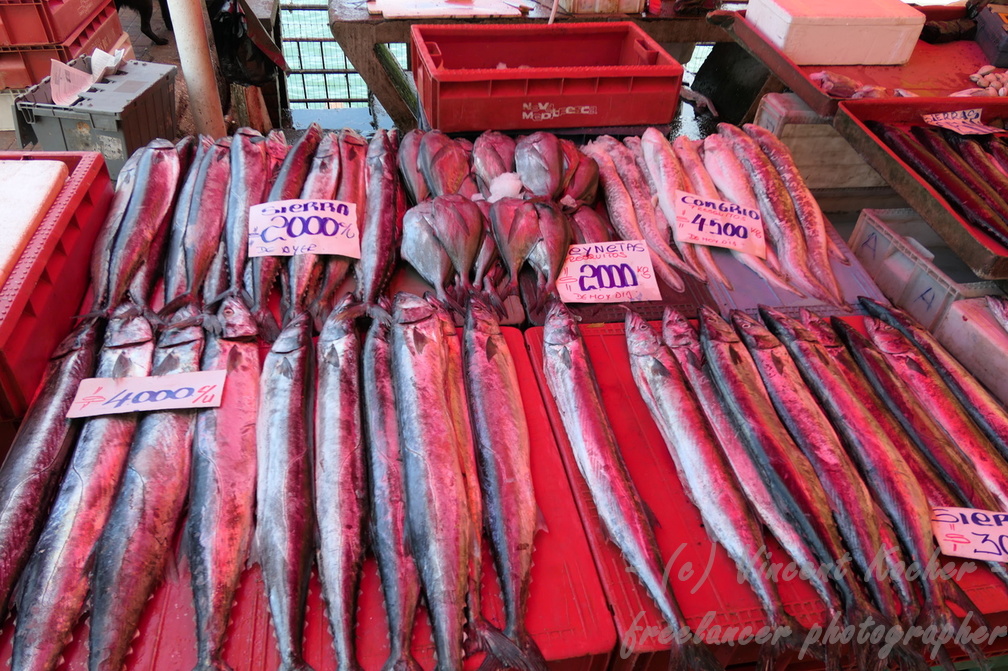 Valdivia Fischmarkt