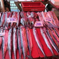Valdivia Fischmarkt