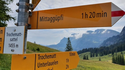 Trochenmattsattel 1455m