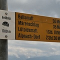 Feldalp 1700m