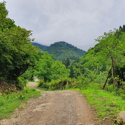 Artvin